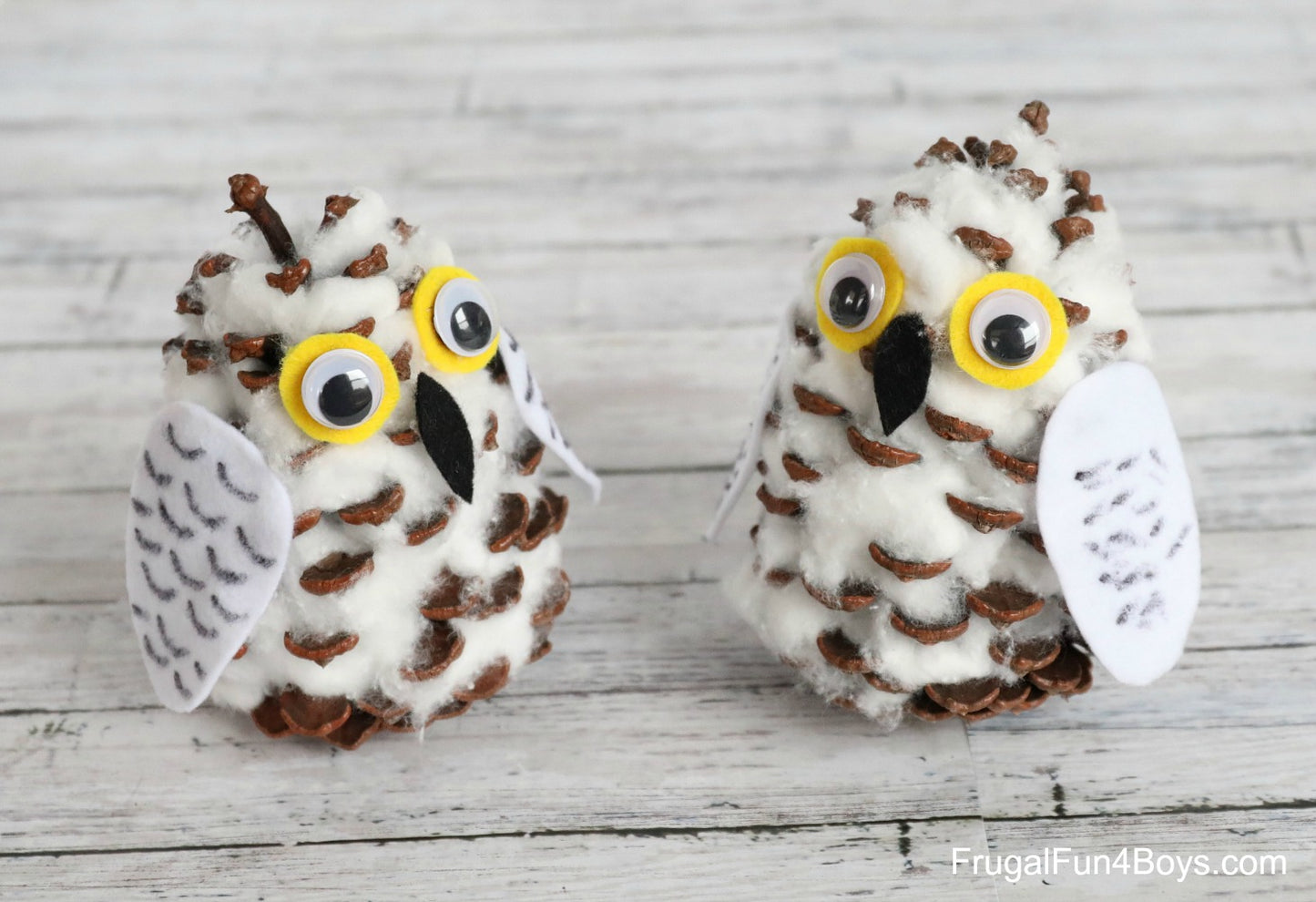 Snowy Owls