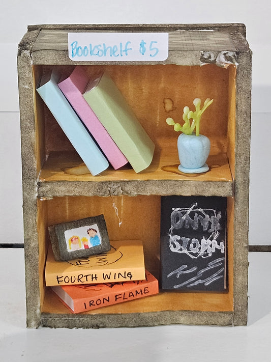 Mini Bookshelf Craft