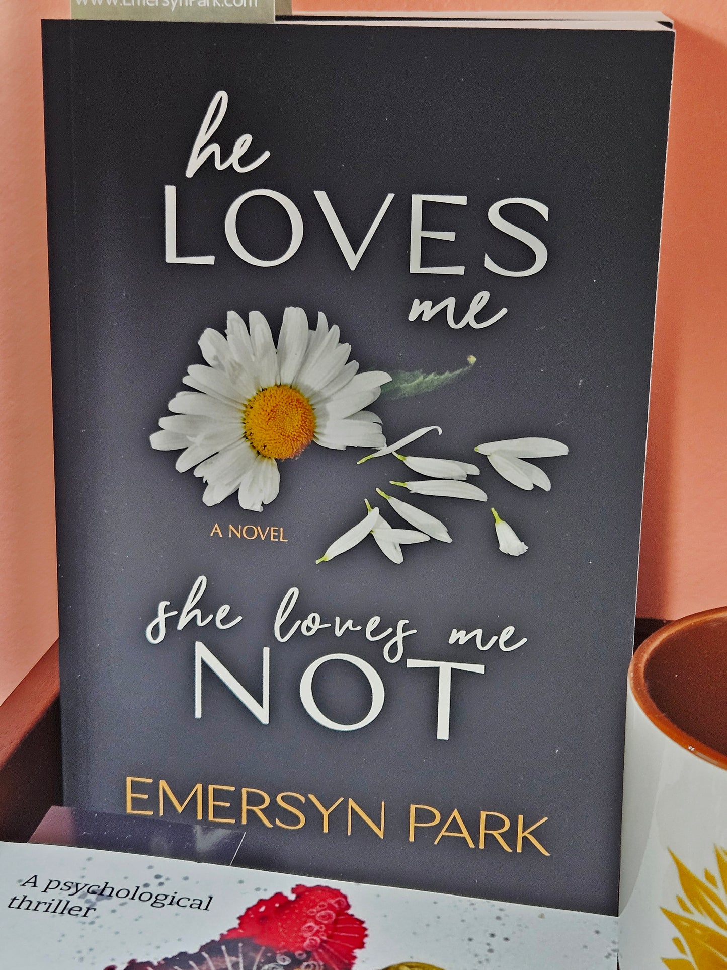 He Loves Me, She Loves Me Not Book