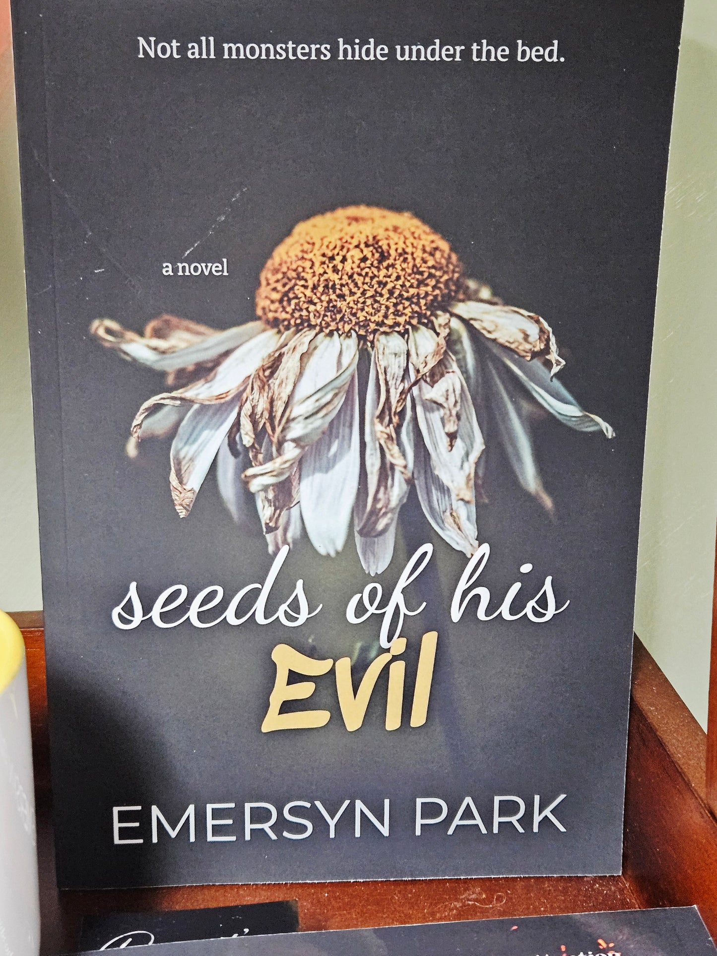 Seeds of His Evil Book