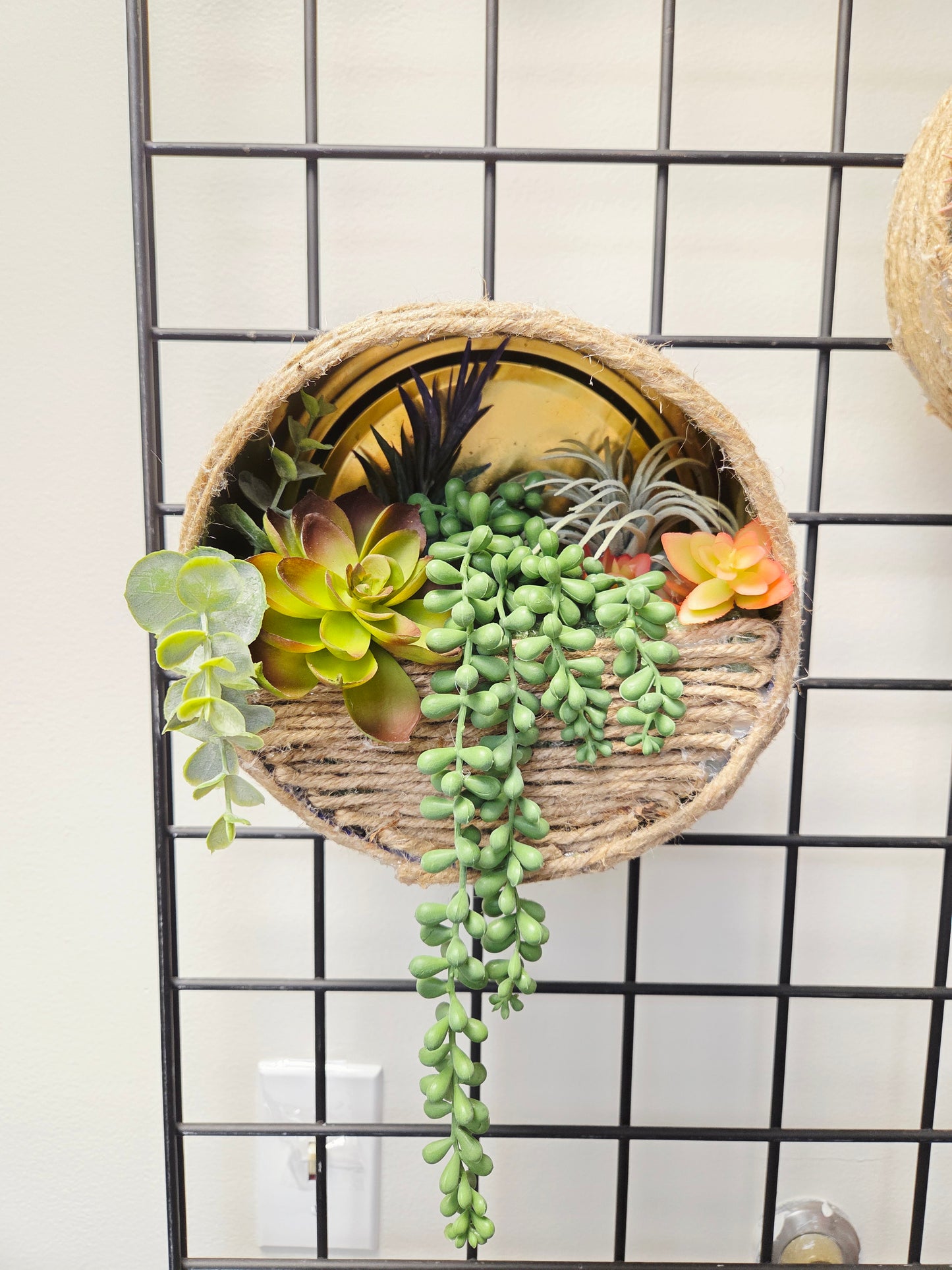 Succulent Wall Hanging with Trailing Plant