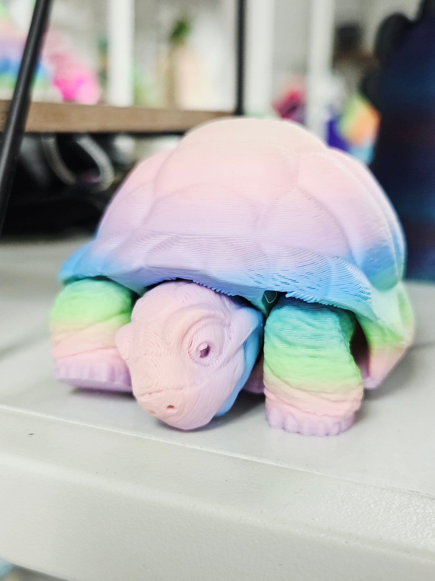 Rainbow 3D Tortoise