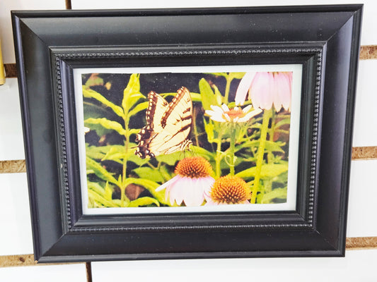 Black Framed Picture Butterfly & Flowers
