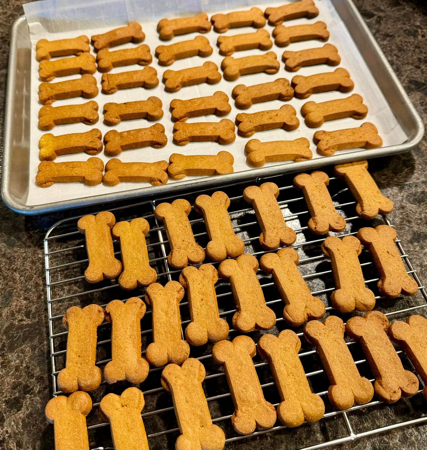 Pumpkin Dog Bone Biscuits