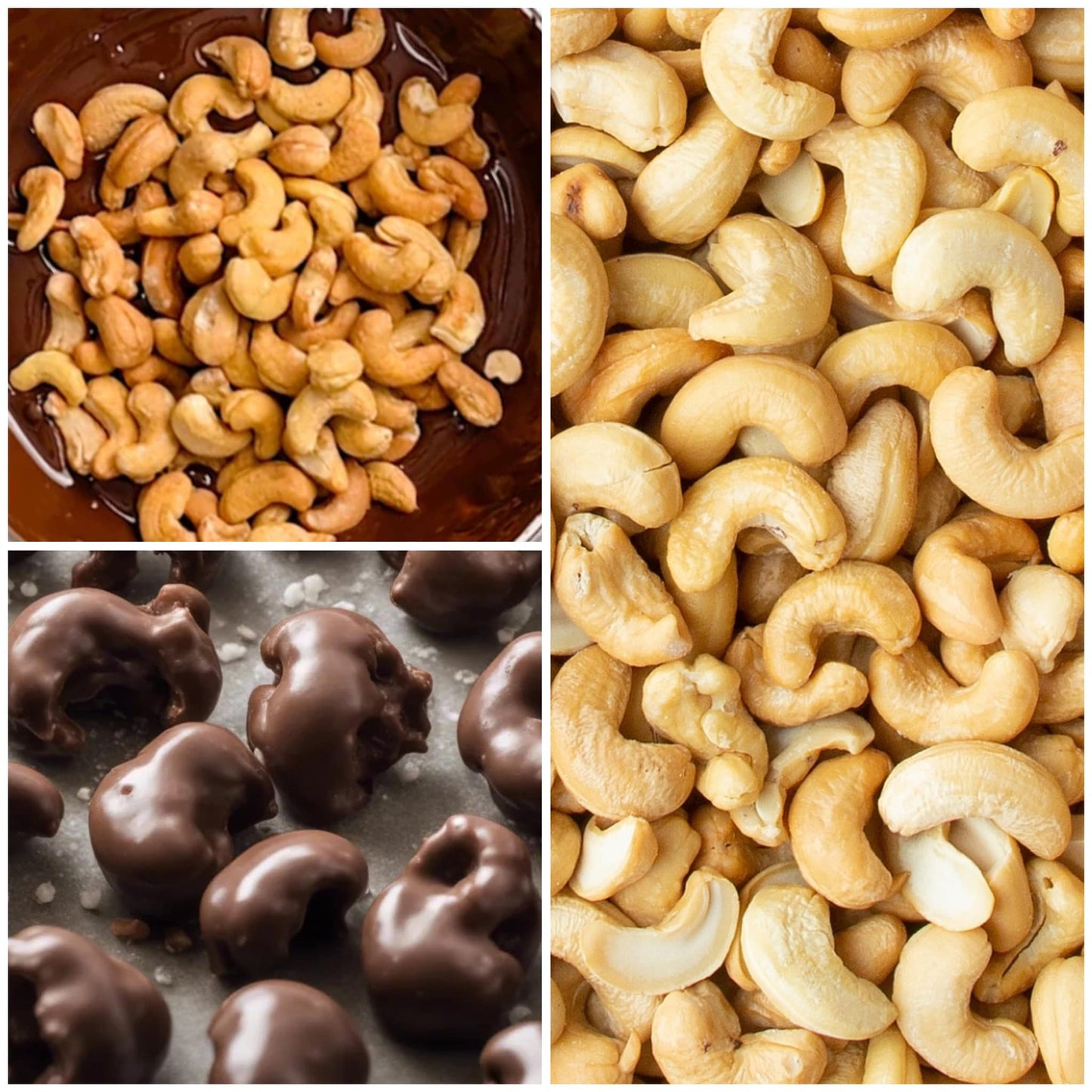 Chocolate Covered Cashews