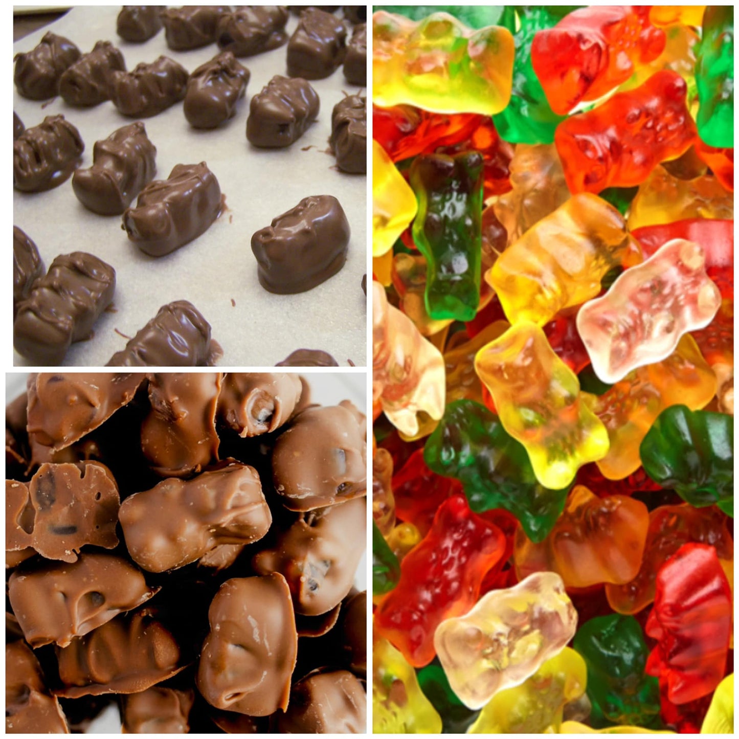 Dark Chocolate Covered Gummy Bears