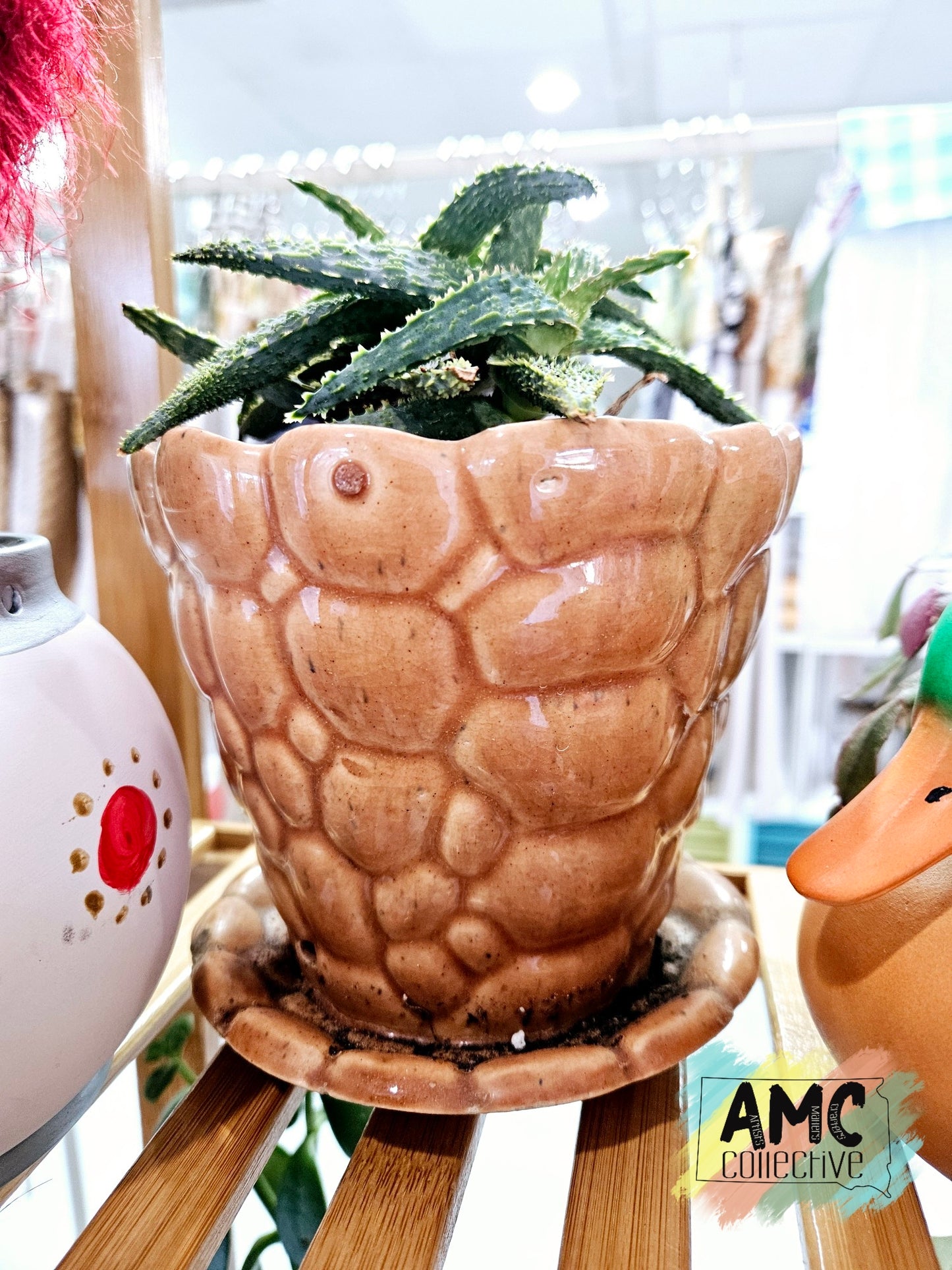 Aloe Plant in Vintage McCoy Terracotta Planter