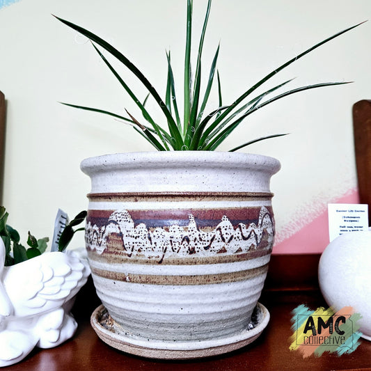 Agave Plant in Grey and Brown Ceramic Planter