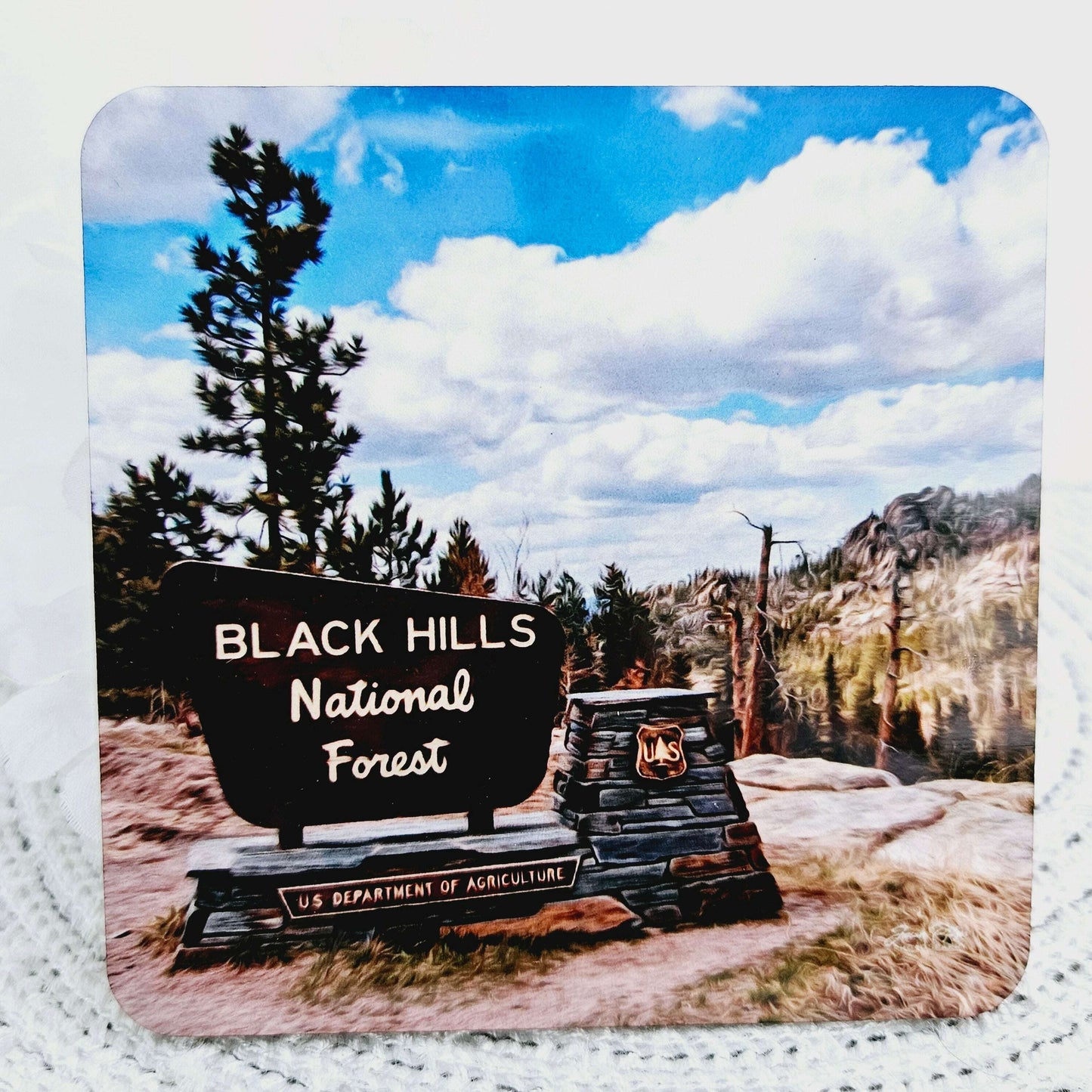 Black Hills National Forest Photo Coaster