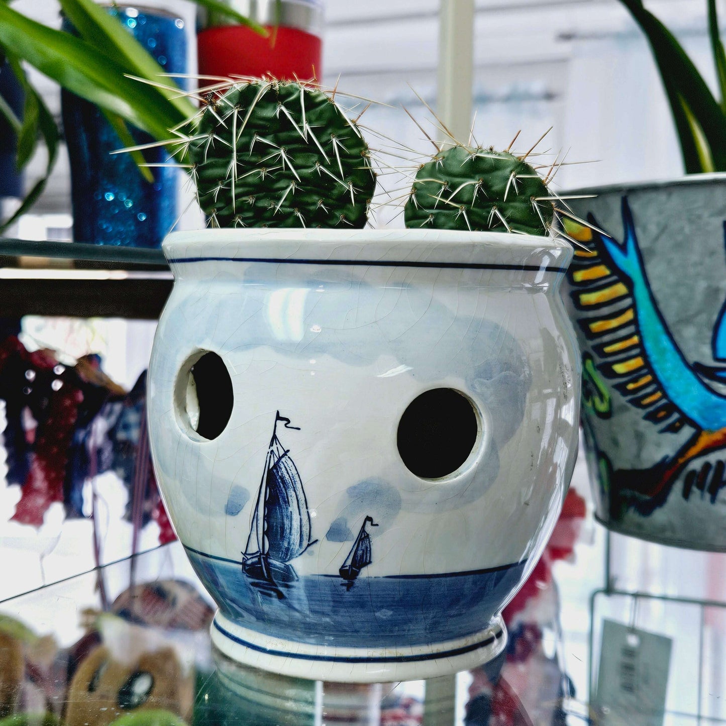 Cactus in Blue Sailboat Planter