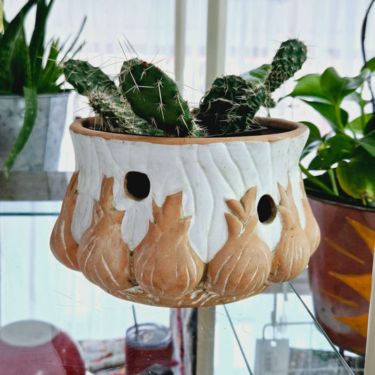 Cactus in White/Terracotta Planter