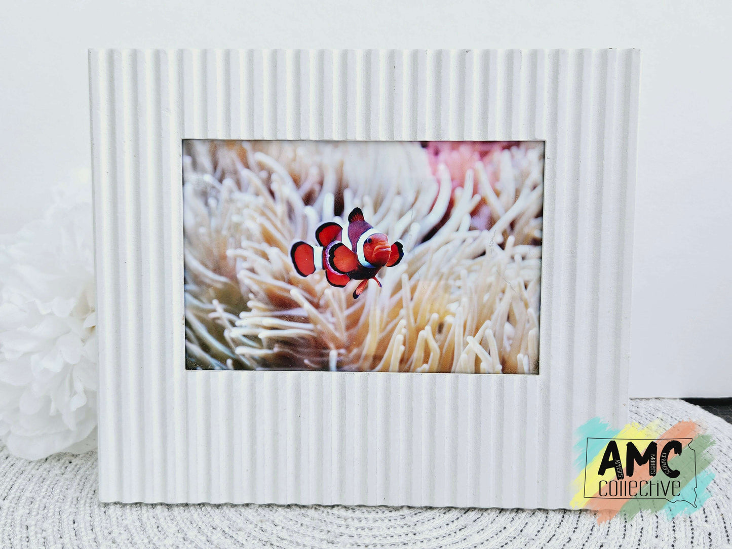 Clownfish Photograph