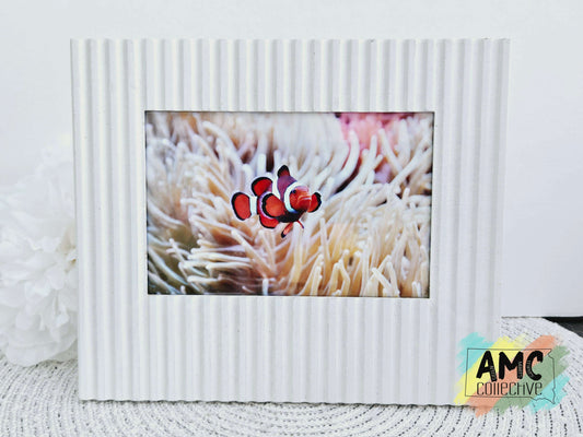 Clownfish Photograph