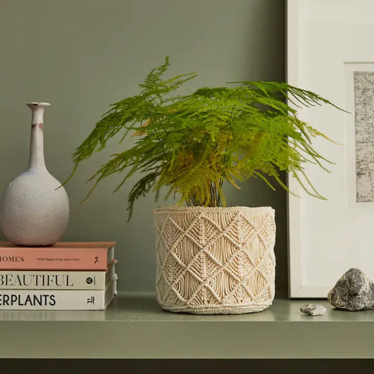 Boho Macrame Pot Cover Kit