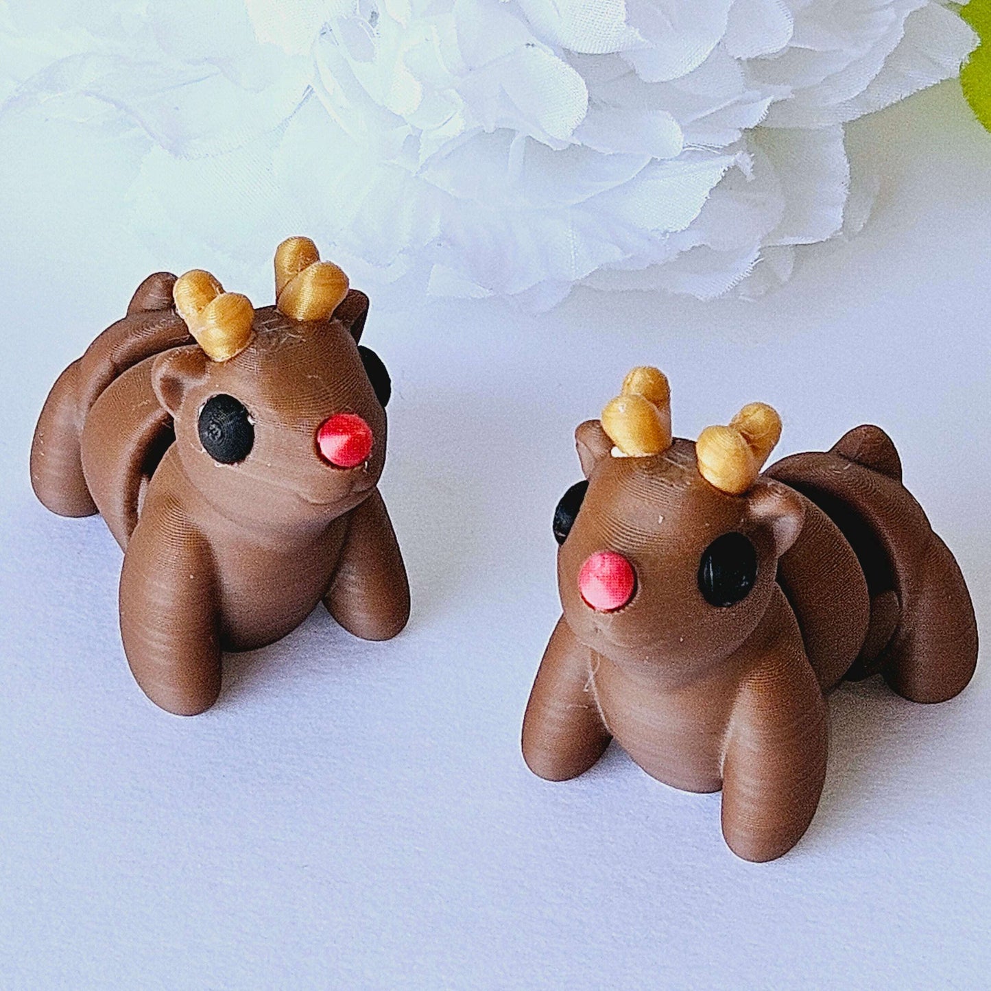 Deer and Reindeer