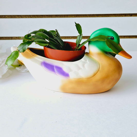 Easter Cactus in Duck Planter