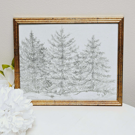 Framed Pencil Sketch of Trees