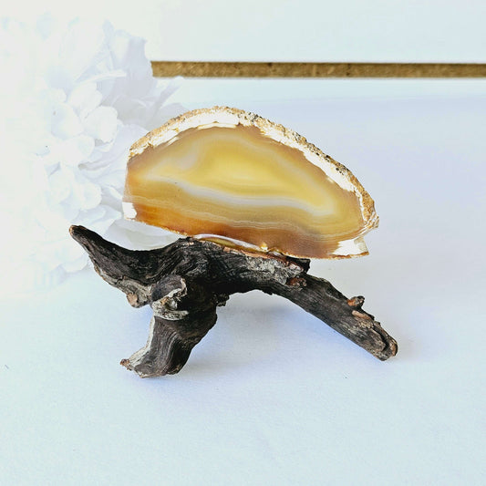 Geode on Driftwood