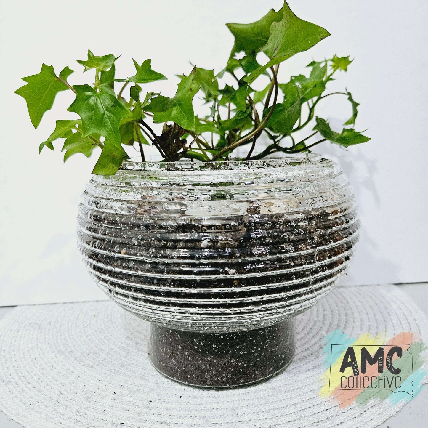 Glass Lampshade Planter with Ivy Style Plant