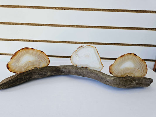 Large Geode on Driftwood