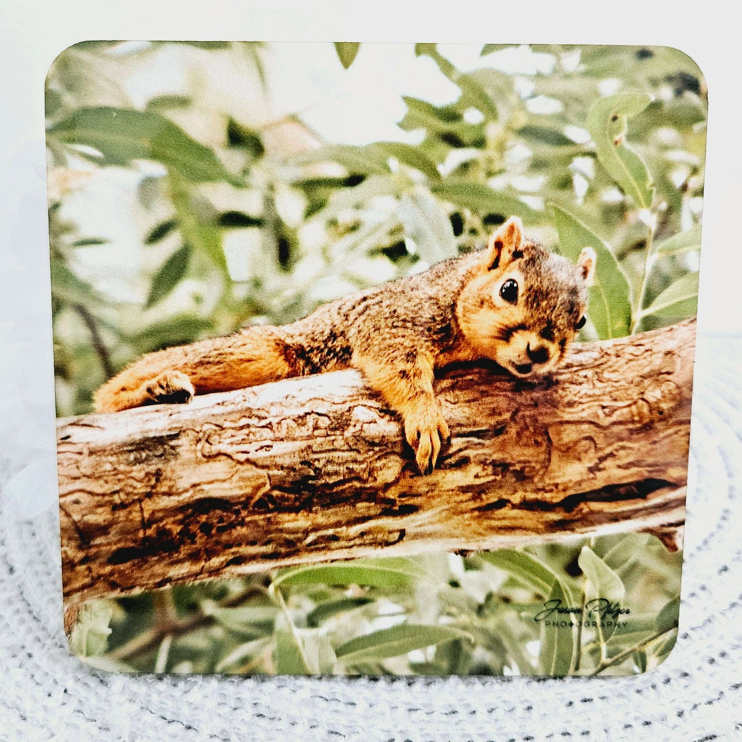 Melvin the Squirrel Photo Coaster