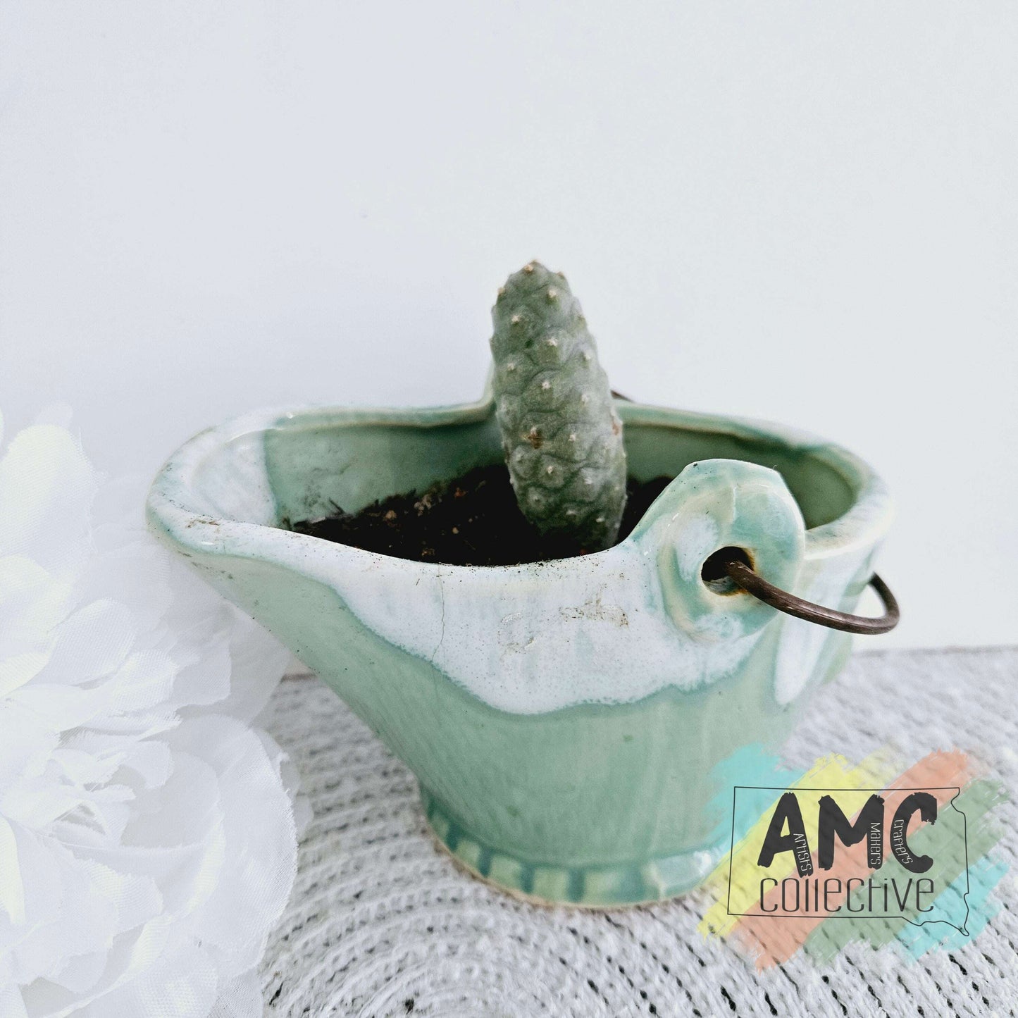 Pinecone Cactus in Green Glazed Pot