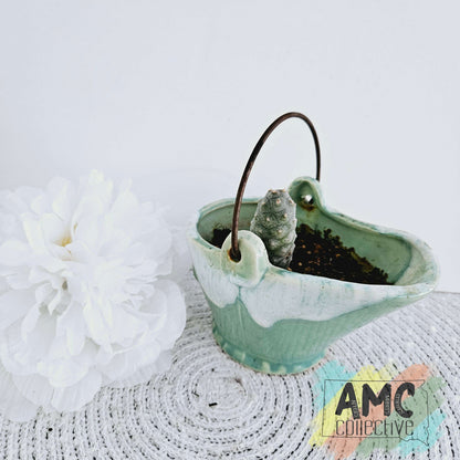 Pinecone Cactus in Green Glazed Pot