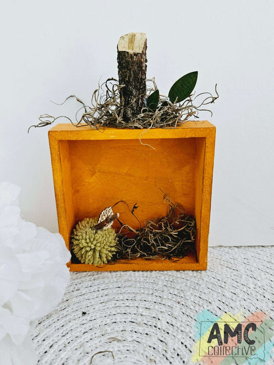 Shadow Box Pumpkin