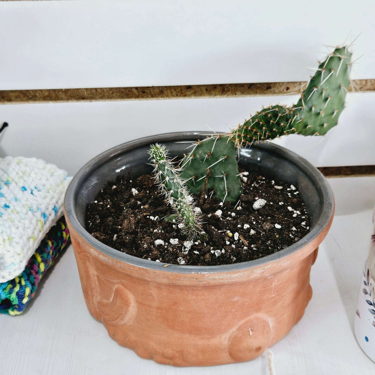 Southwest Terracotta Style Planter with Cactus