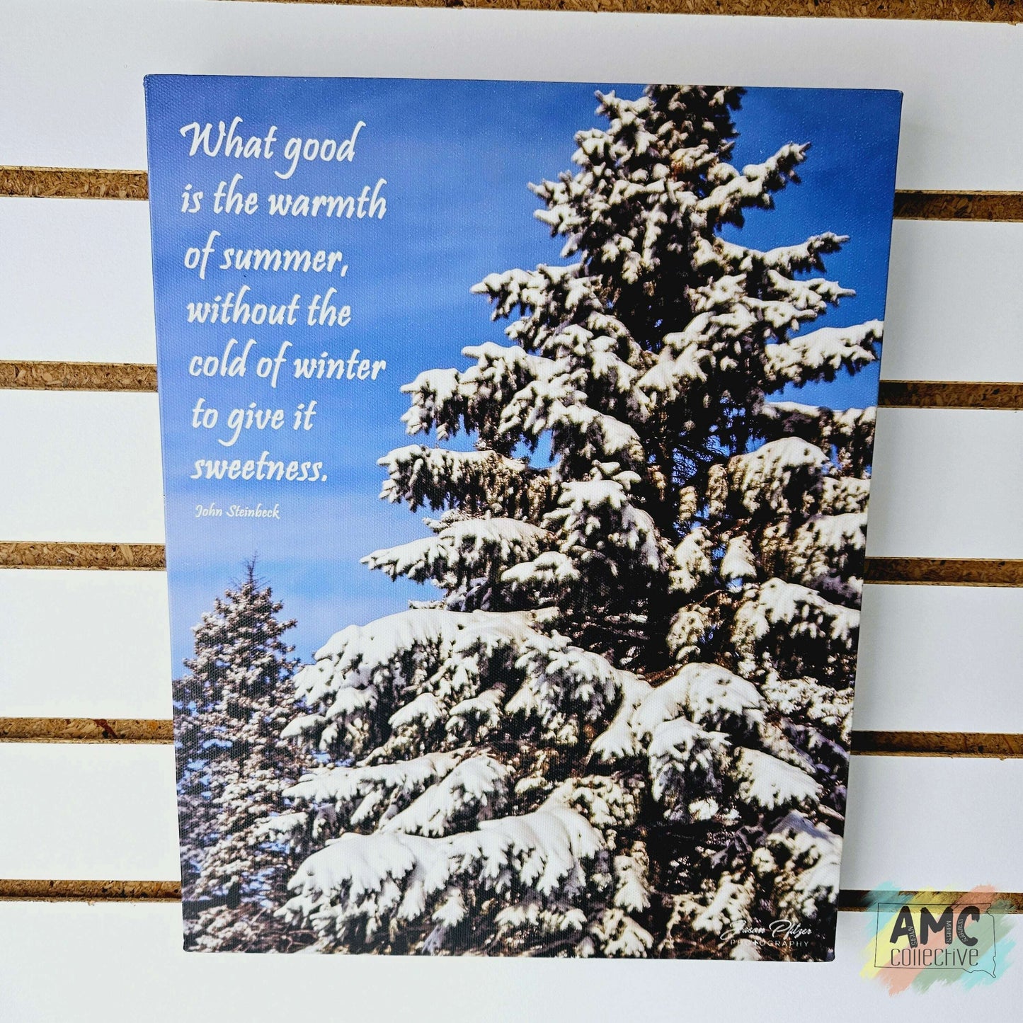 What Good is the Warmth of Summer Photo Print